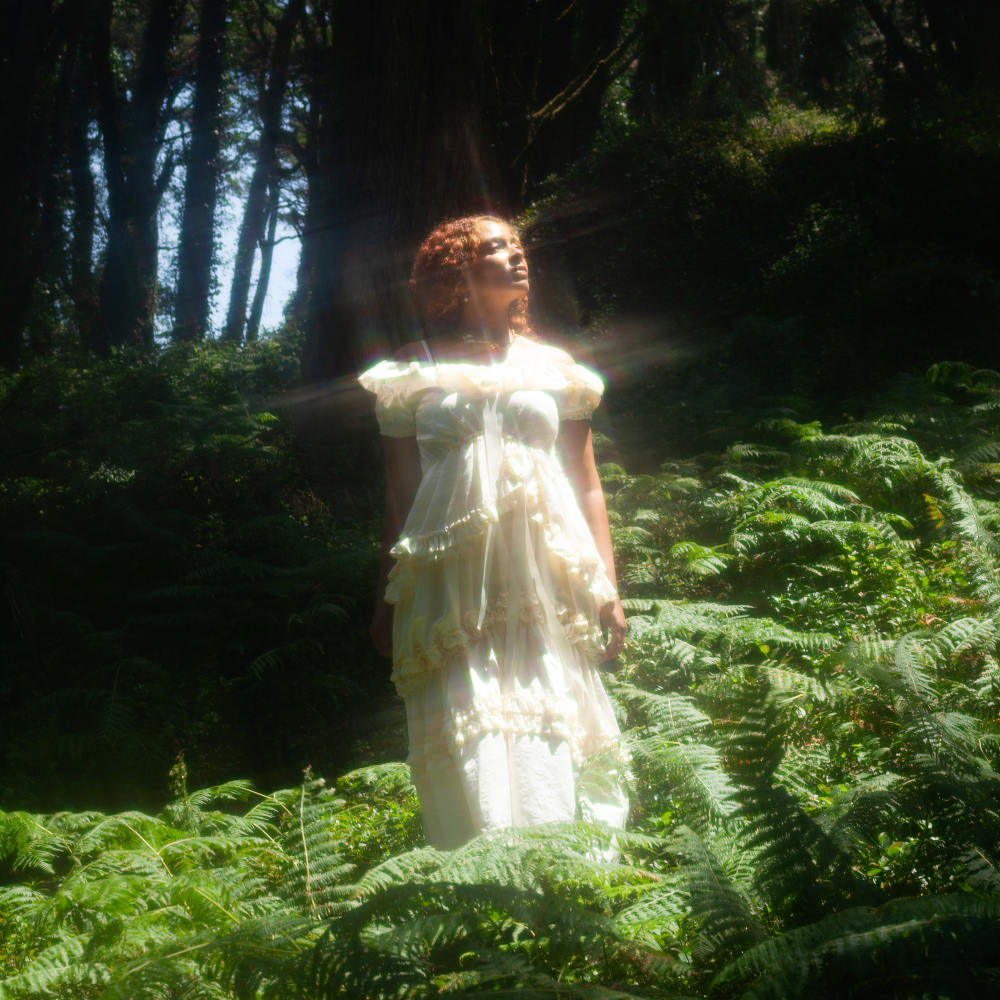 Hideaway Cover